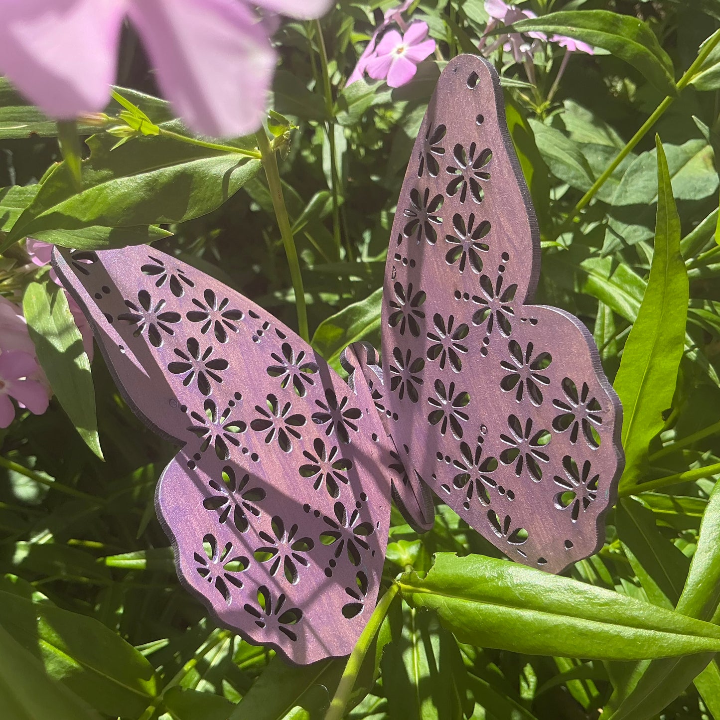 LH 503 - Medium Metallic Butterfly