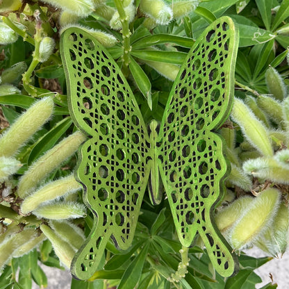 LH 502 - Medium Grid Butterfly