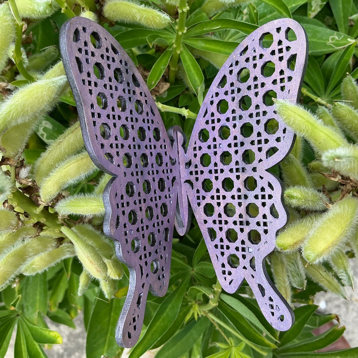 LH 502 - Medium Grid Butterfly