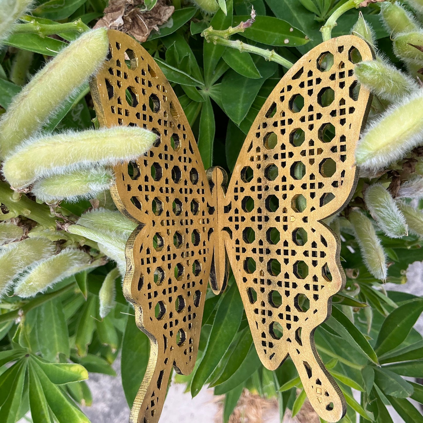 LH 502 - Medium Grid Butterfly