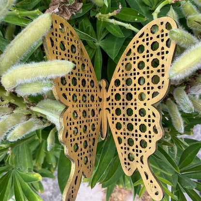 LH 502 - Medium Grid Butterfly