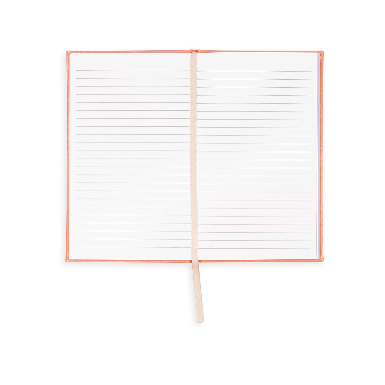 Jane Austen Sense and Sensibility Journal