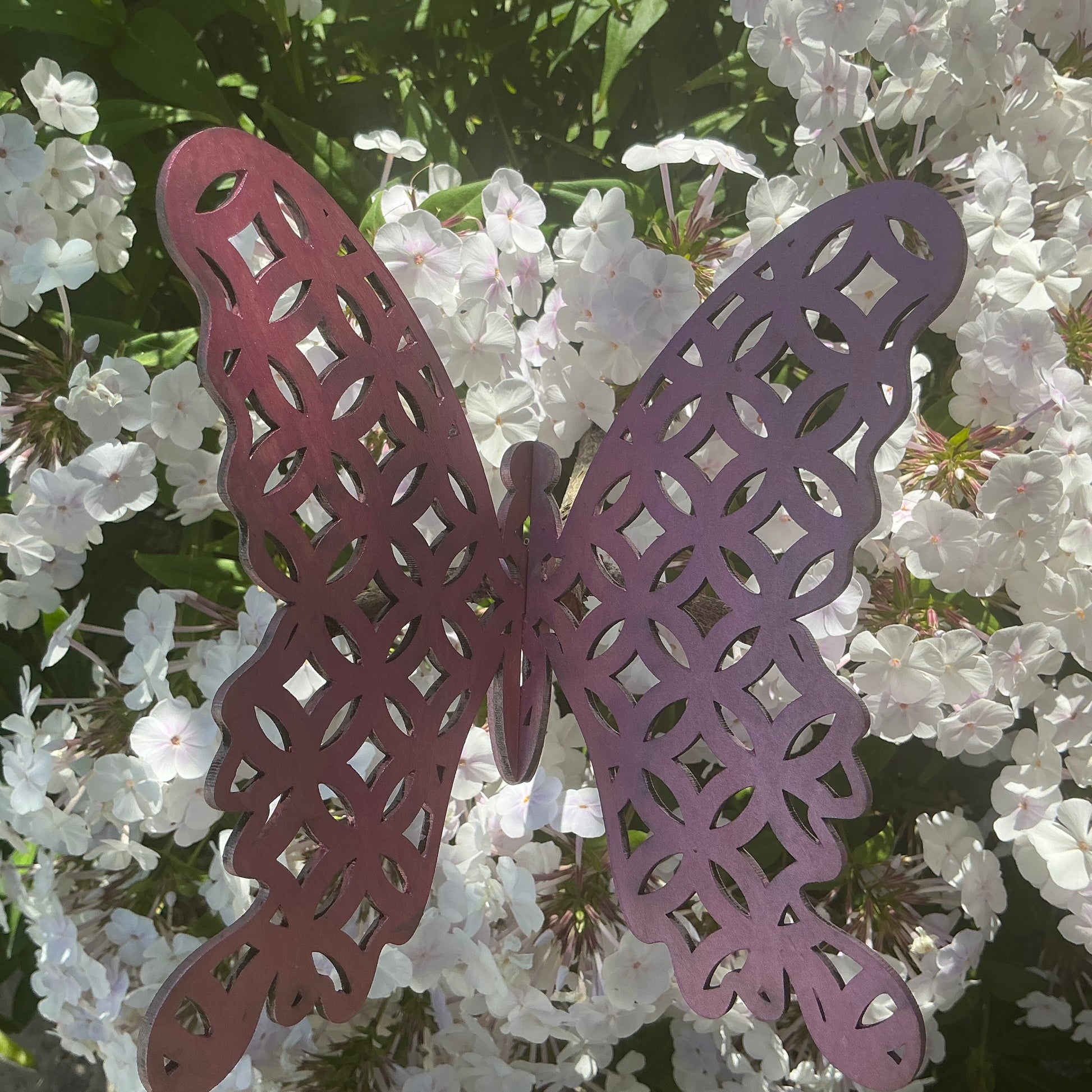 Large Metallic Butterfly - Rose